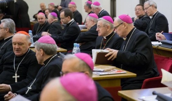 Znalezione obrazy dla zapytania polscy biskupi
