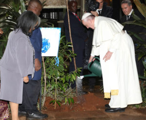 pope-francis-plant-a-tree